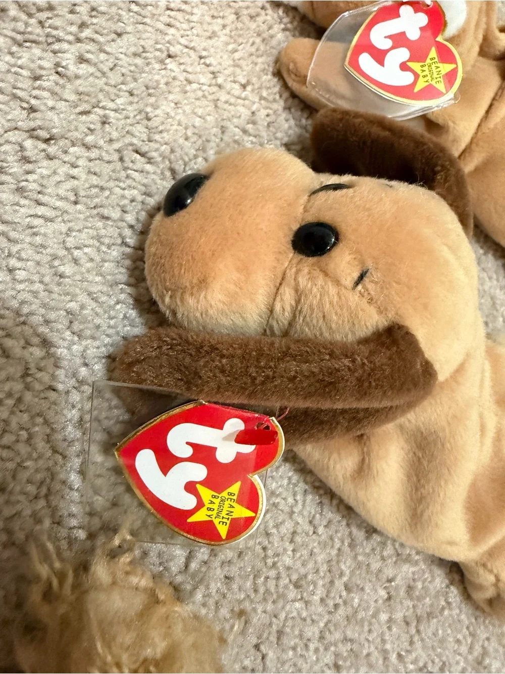 Ty Beanie Babies - Retired Collection (Wrinkles, Bones, Spunky, Bernie)